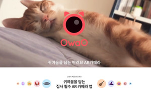 에이치나인, 고양이 전용 AR 카메라 앱 '오와오' 출시 - 뉴스 썸네일 이미지