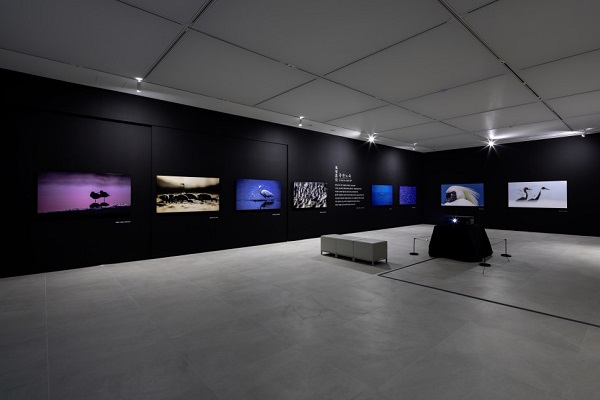 사진 전시회  ‘풍찬노숙(風餐露宿)’ (제공: 캐논코리아)