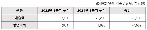 줌인터넷 2022년 3분기 누적 요약 실적표(제공: 줌인터넷)