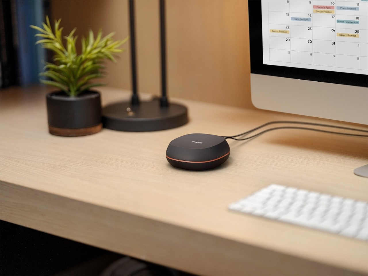 샌디스크 데스크 드라이브