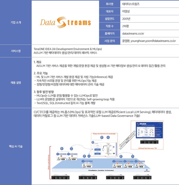 데이터스트림즈의 AI 솔루션 및 핵심 역량