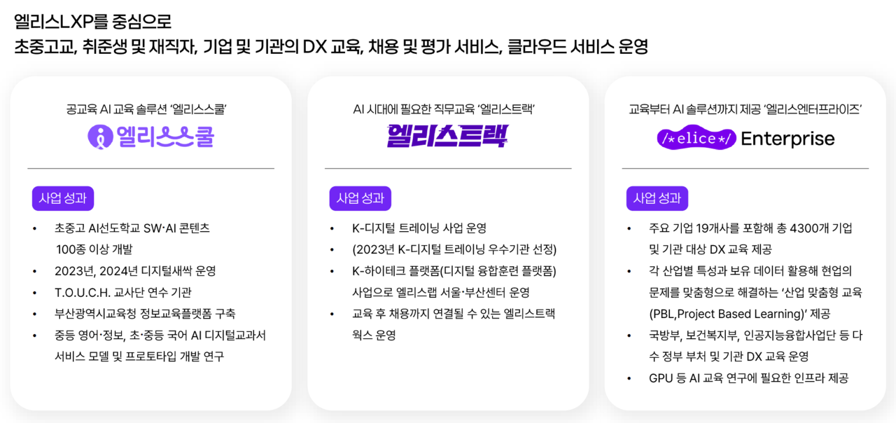 엘리스그룹 사업 분야 (출처: 엘리스그룹)