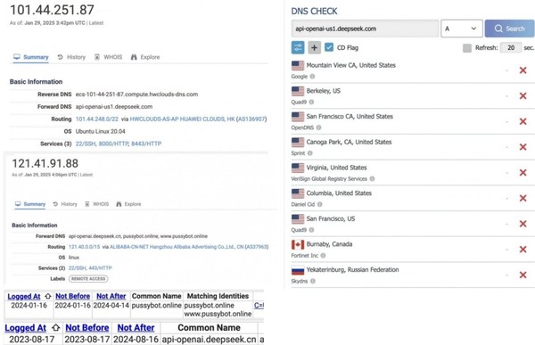 DNS 및 보안 인증 정보 (출처: 아나나이 개발자 트위터 이미지 발췌)