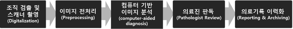 그림 1. 디지털 병리 진단 개략도