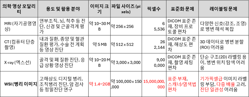 표 1. 의학영상 모달리티 비교: 이미지 사이즈 및 표준화 레이블링 특성