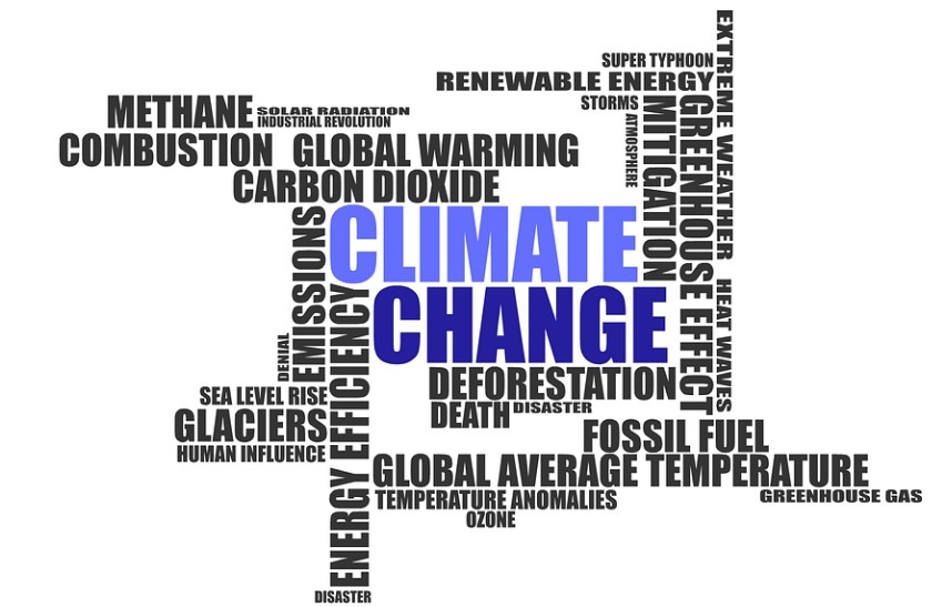 이미지=픽사베이