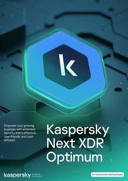 카스퍼스키 넥스트 XDR 옵티멈