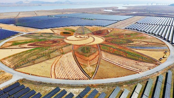 전라남도 해남군 (사진=해남군)