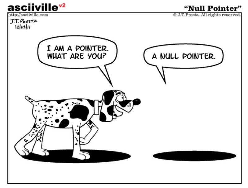 [김종하의 파수꾼] 정적분석이야기 1 Null Pointer Dereference(널 포인터 역참조)